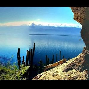 Meet your Posher, Johnny